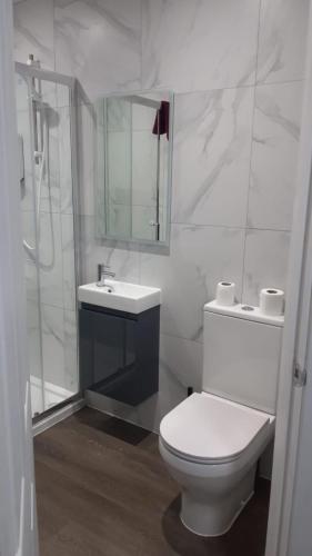 a bathroom with a toilet and a sink and a shower at SHEFFIELD ARENA APPARTMENT s9 in Attercliffe