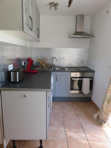 a kitchen with a sink and a stove at La ferme de Roquedure in Montfaucon
