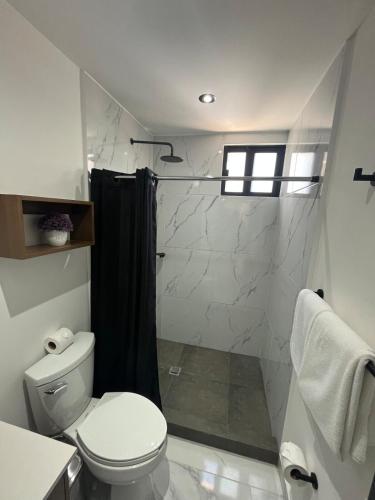 a bathroom with a shower with a toilet and a sink at Casa Bambú, apartment in the best part of Playa del Carmen in Playa del Carmen