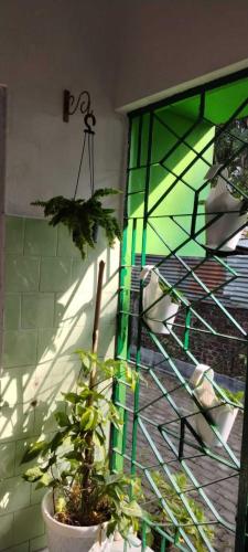 a plant in a pot next to a green wall at HURGEN Stay in Kāziranga