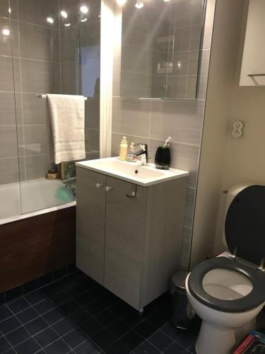 une salle de bain avec toilettes, lavabo et douche dans l'établissement Grand studio fonctionnel, calme et ensoleillé, à Paris