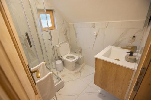 a bathroom with a toilet and a sink at Arhetip, Djedova Villa in Žabljak