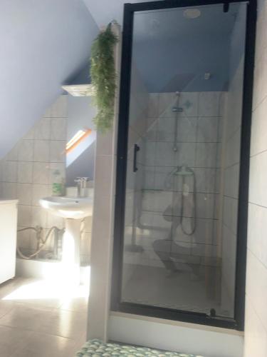 une salle de bain avec une douche avec des toilettes et un lavabo dans l'établissement Gîte rose, à Colmar