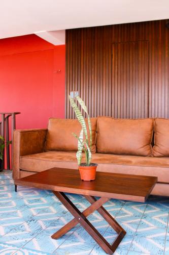 a couch and a table with a potted plant on it at Lidia Anturios Suites in Oaxaca City