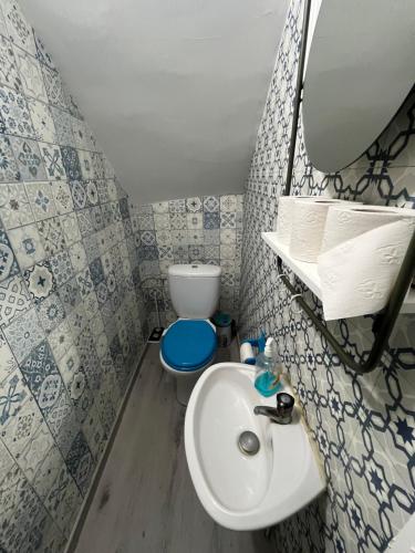 a small bathroom with a sink and a toilet at Deux chambres Terrasse salle de sport in Vigneulles-lès-Hattonchâtel