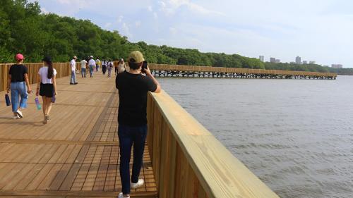 a man taking a picture of a group of birds on a pier at Perla del río habitaciones in Barranquilla