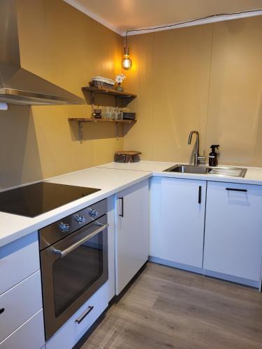 Dapur atau dapur kecil di Nice apartment in the middle of the Lyngen Alps!