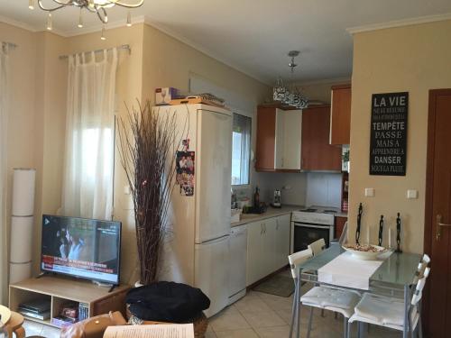 a kitchen with a refrigerator and a table with a tv at POSSIDI - Ithaki Holiday Apartments in Kalandra