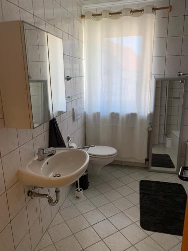 un bagno bianco con lavandino e WC di Preiswerte Ferienwohnung a Neukirchen