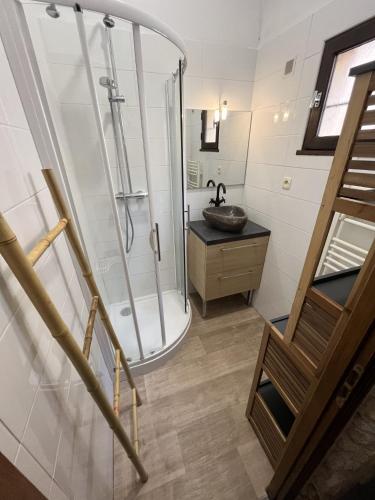 une salle de bain avec douche et lavabo dans l'établissement Appartement proche des plages de sable, à Grosseto-Prugna