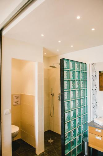 une salle de bain avec douche et toilettes dans l'établissement villa provençale en pierre avec vue sur la mer, piscine et jacuzzi, à Tourrettes-sur-Loup