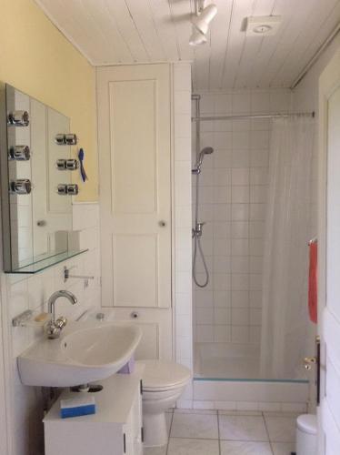 une salle de bain avec un lavabo, des toilettes et une douche dans l'établissement Charming house in Périgord Vert, à Saint-Félix-de-Villadeix
