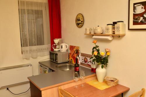 Kuchyň nebo kuchyňský kout v ubytování Penzion Čokoláda