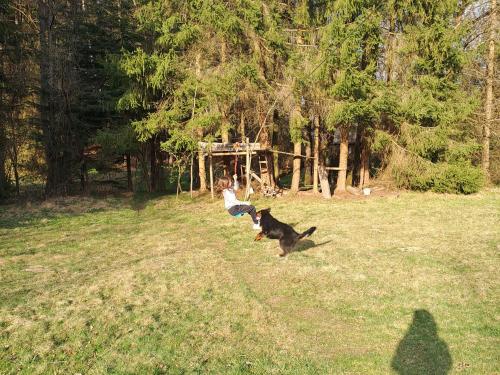 a child and a dog playing with a frisbee at Chata Na Palouchu in Komorovice