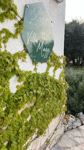 Zahrada ubytování B&B Villa Maggi
