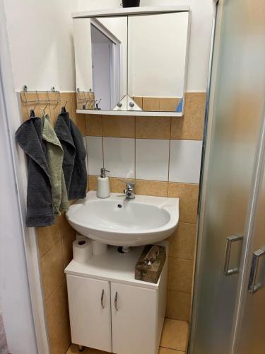 a bathroom with a sink and a mirror at Mázli Vendégház in Sátoraljaújhely