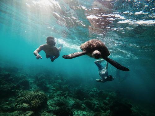 two people swimming in the water in the ocean at Villa Rosita in Dauin