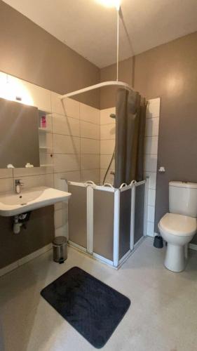 une salle de bain avec toilettes et lavabo dans l'établissement Studio Cosy - proche du centre ville, à Guingamp