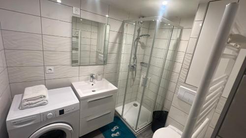une salle de bain avec douche et lavabo et une machine à laver dans l'établissement Sous sol refait à neuf, à Champigny-sur-Marne