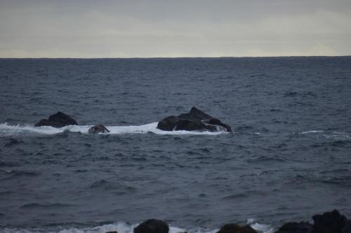 a group of rocks in the middle of the ocean at Casa Cruzeiro AL - by the sea OCEANTUR in Rosário-Lagoa