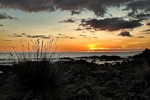 Casa Cruzeiro AL - by the sea OCEANTUR