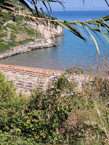 Příroda nedaleko prázdninového domu