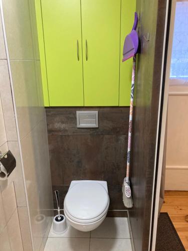 a small bathroom with a toilet and green cabinets at Joli gîte 2 personnes en Alsace in Guémar