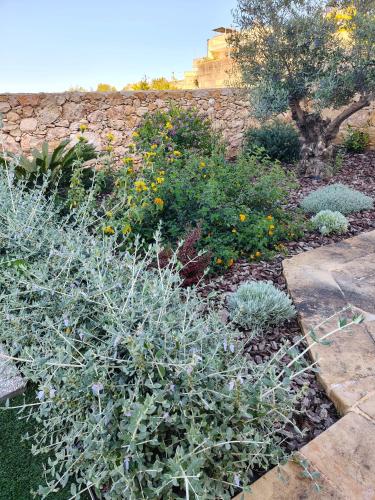 a garden with various plants and a stone wall at Infinity view residence in Sannat