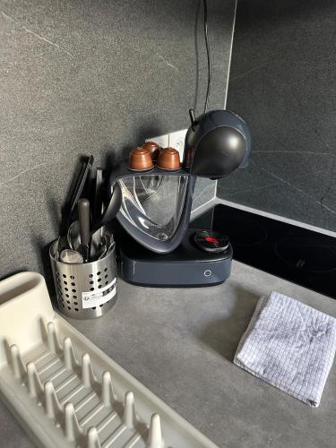 Photo de la galerie de l'établissement Cosy studio en face de la gare SNCF, à Grenoble