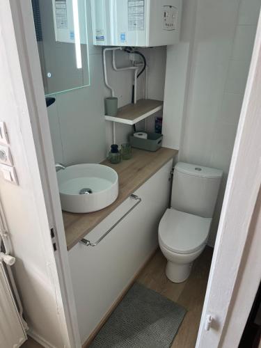 une petite salle de bain avec toilettes et lavabo dans l'établissement La P'tite Maison D'Auron, à Bourges