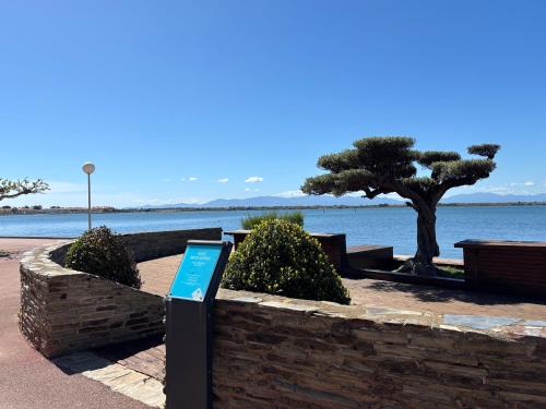Cozy apartment in Cap Coudalère, lake and pool view, 4 people