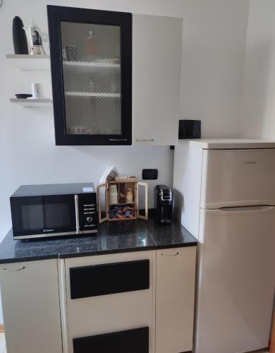 a small kitchen with a microwave and a refrigerator at Serra's House in Serra San Bruno