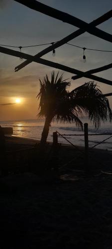 a palm tree on the beach with a sunset at Hotel Palmar Surf Camp & School in San Carlos