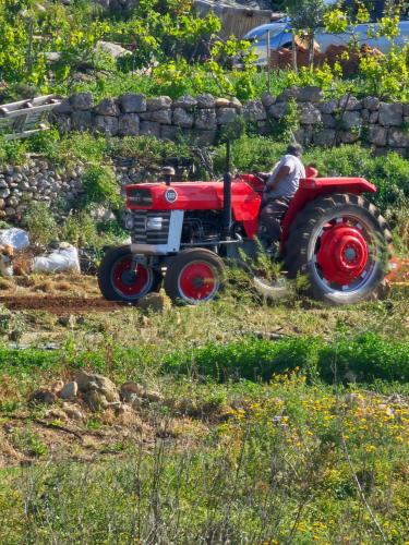 Gambar di galeri bagi Country View Apartment di Mellieħa