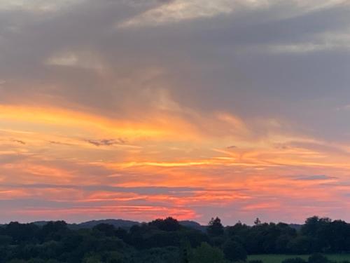 un coucher de soleil sur un champ avec des arbres au premier plan dans l'établissement Gite Le Coucher du Soleil - 30mins Puy du Fou, à Saint-André-sur-Sèvre