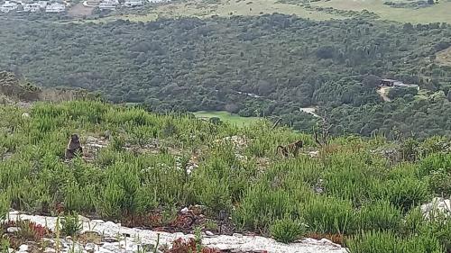 Φυσικό τοπίο κοντά σε αυτή η παραθεριστική κατοικία