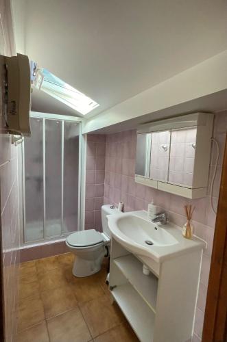 une salle de bain avec toilettes et lavabo dans l'établissement Bormes les Mimosas au coeur du village historique, à Bormes-les-Mimosas