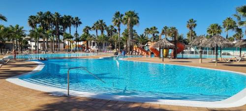 Central Corralejo with Terrace & Palm Trees 25mb wifi