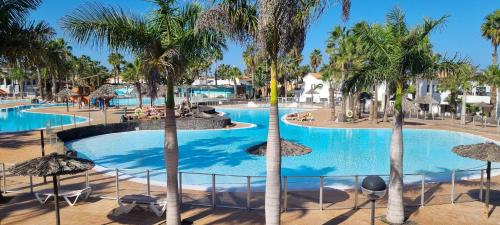 Central Corralejo with Terrace & Palm Trees 25mb wifi