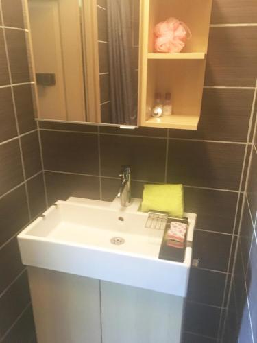 une salle de bain avec un lavabo et un miroir dans l'établissement Drôme provençale village house, à La Motte-Chalançon