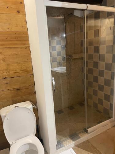 une salle de bain avec toilettes et douche dans l'établissement Room in Medieval Cereste, à Céreste
