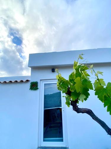 a blue house with a window and a tree at Portugals Infinity Eco Suite Resort in Tavira