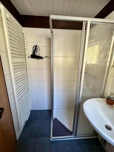 a bathroom with a shower and a sink at Natur Pur-Waldurlaub im Tiny House in Ronshausen
