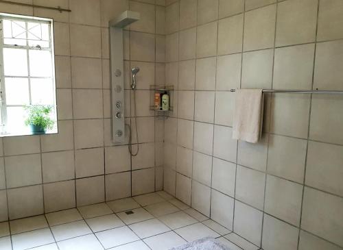 a bathroom with a shower and a window at Cottage with Farmyard Garden on the Sunshine Coast in Alexandria
