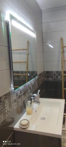 La salle de bains est pourvue d'un lavabo, de toilettes et d'un miroir. dans l'établissement Villa Les Brouadettes, à Montfort-sur-Argens