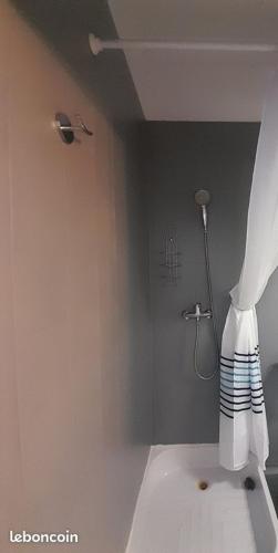 La salle de bains d'angle est pourvue d'une douche. dans l'établissement T2 Longchamp Blancarde Timone, à Marseille