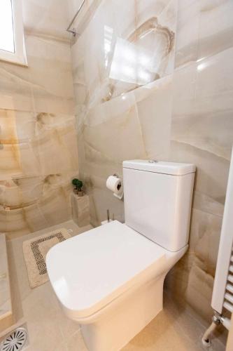 a bathroom with a white toilet in a room at Aegean Lesvos Maisonette in Mytilini