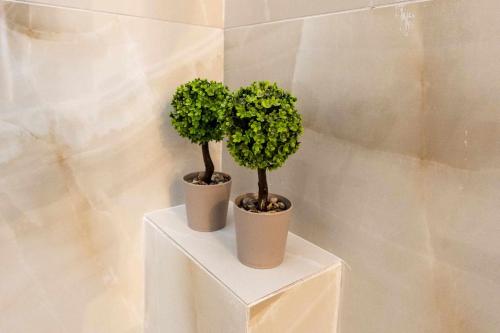 two potted trees sitting on top of a shelf at Aegean Lesvos Maisonette in Mytilini