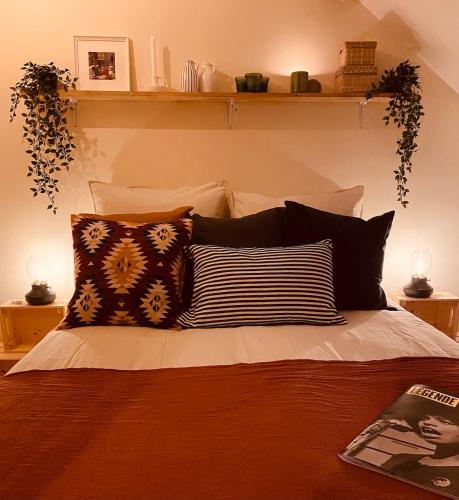 - un lit avec des oreillers en noir et blanc dans l'établissement Mini loft de Charme au cœur de la ville, à Dijon