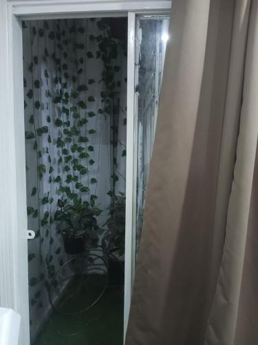 una porta scorrevole in vetro con piante in vaso in una stanza di 2 bed apartment a Islamabad